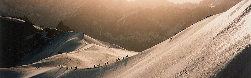 Das Bild kann leider nicht angezeigt werden. Das tut uns leid.